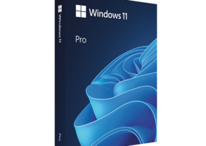 windows 11 pro key kopen