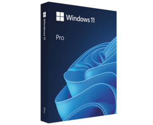 windows 11 pro key kopen